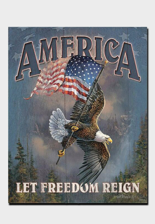 America let freedom reign tin sign