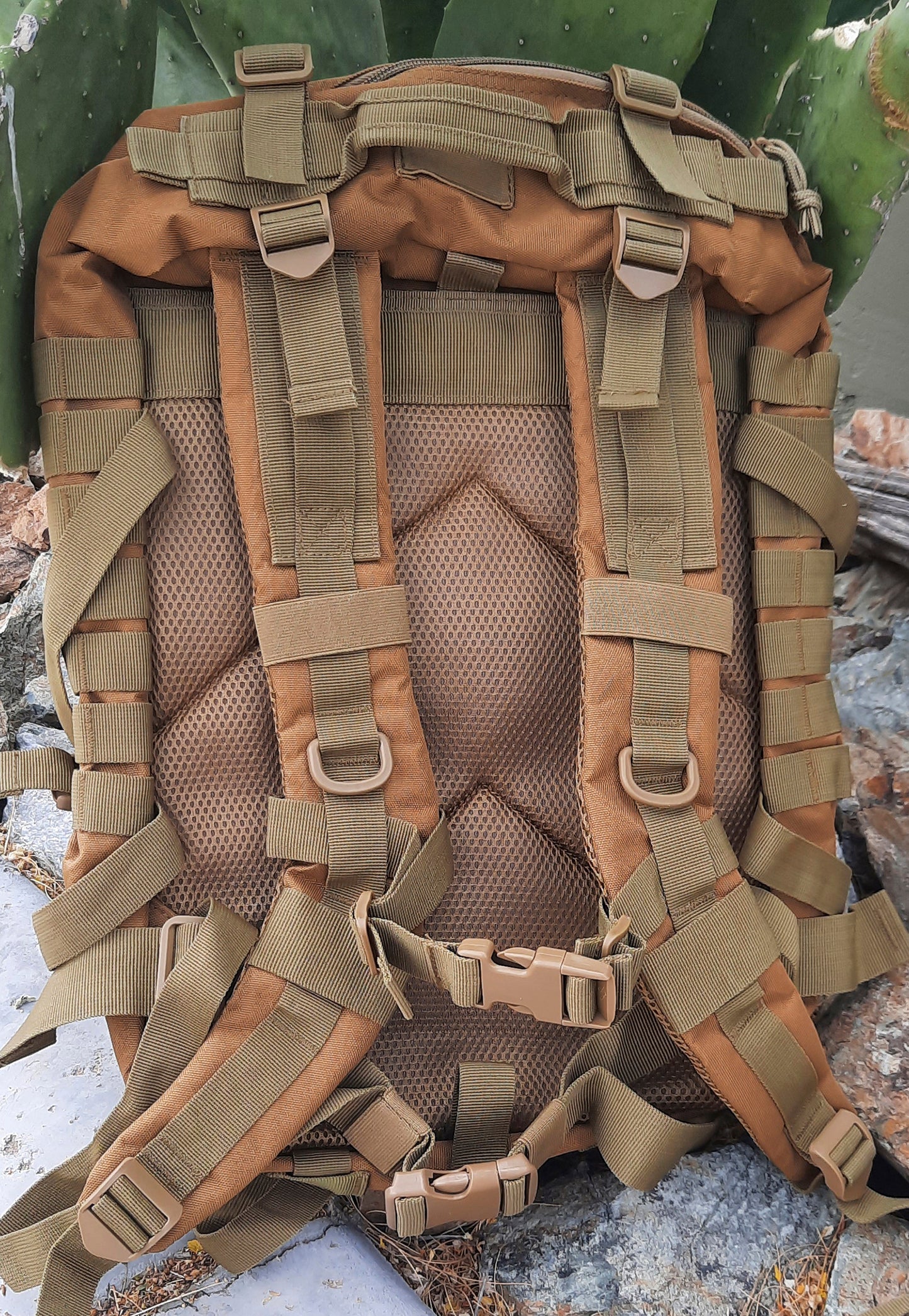 Rear view of ArmedAF® tactical back pack