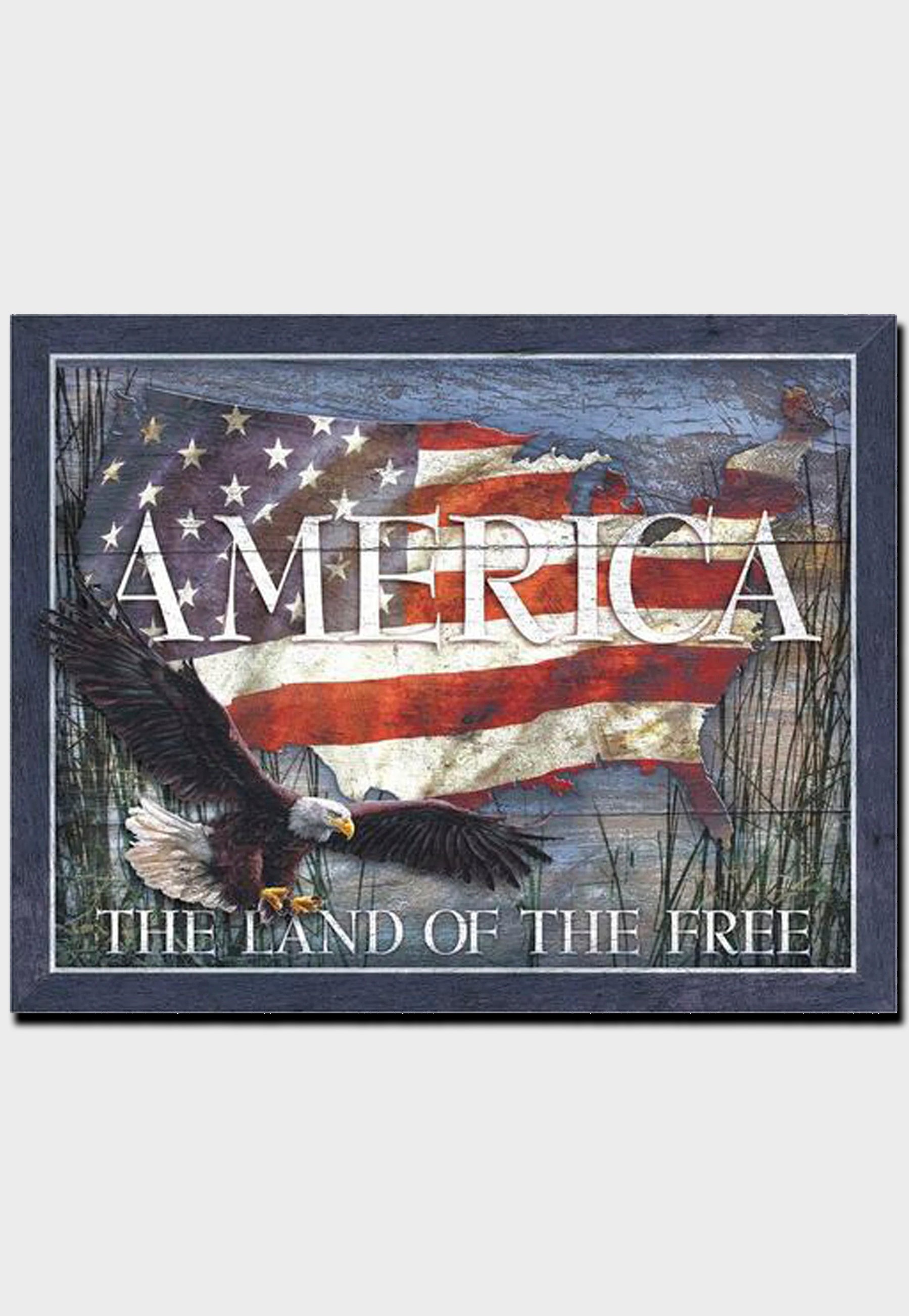 America Land of the Free tin sign