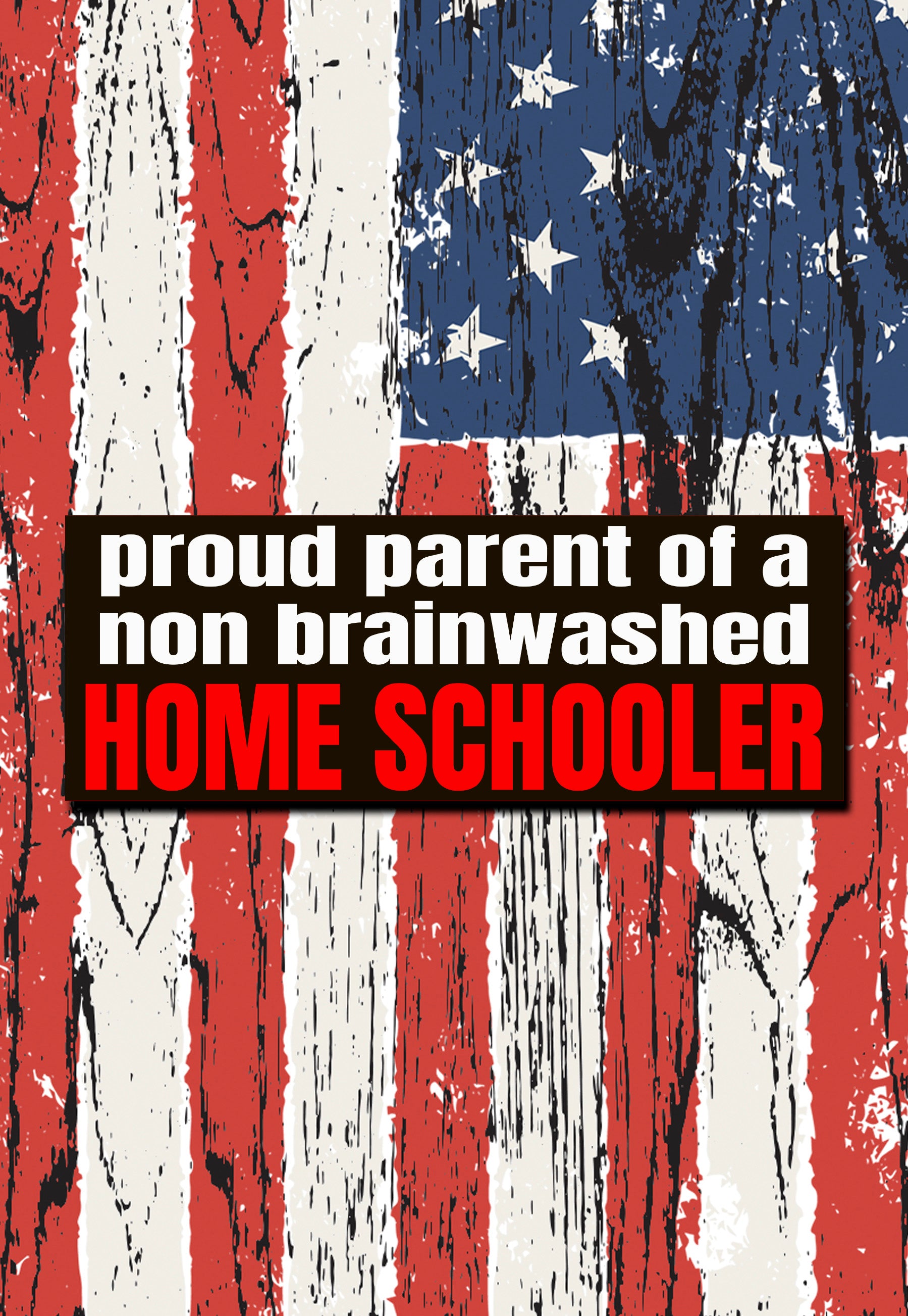 Non brainwashed home schooler bumper sticker